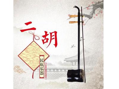 招聘宜宾二胡家教老师